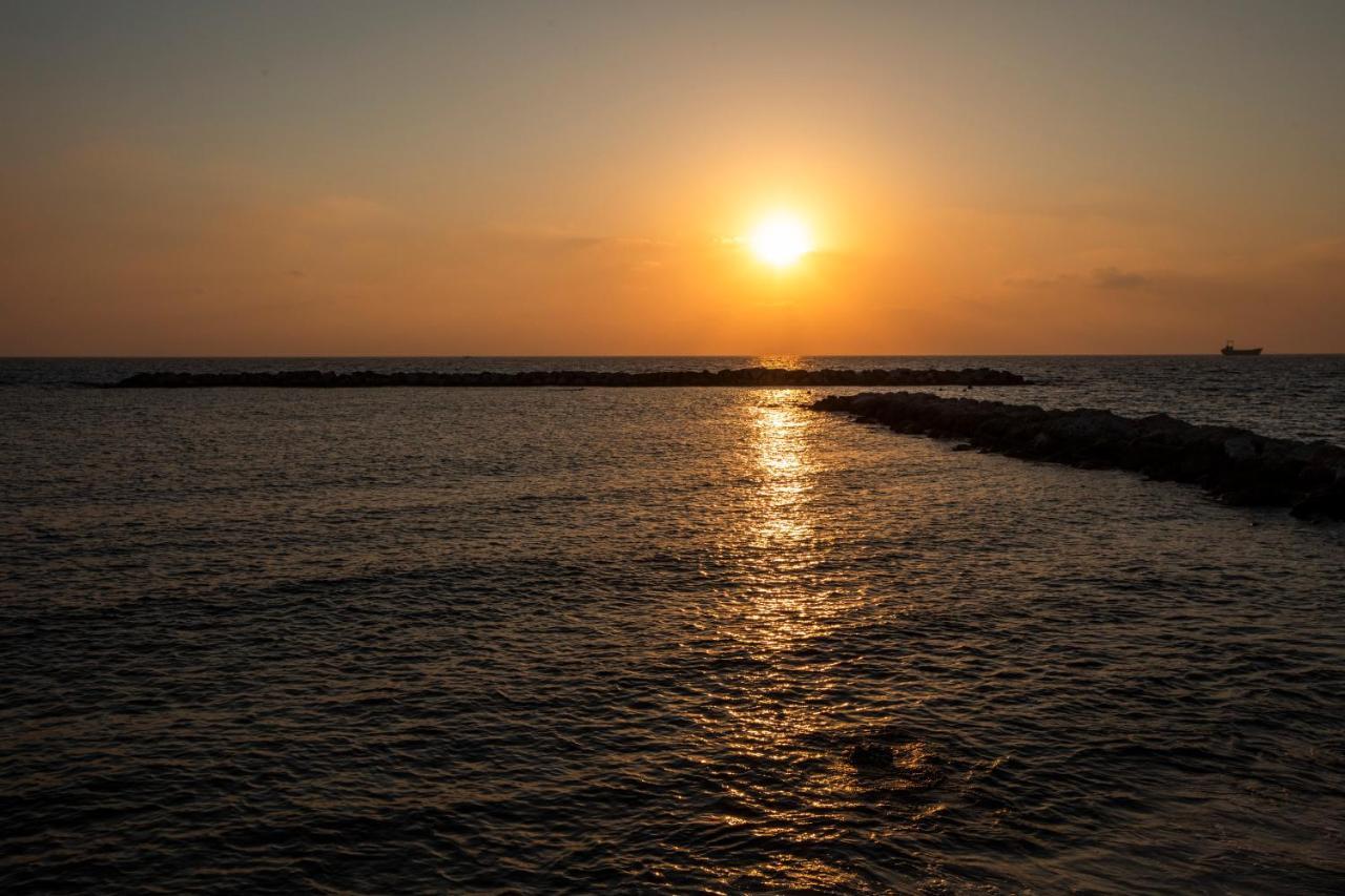 Ifestos Kings Resort Appartment Paphos Luaran gambar